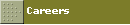 Careers